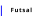 Futsal